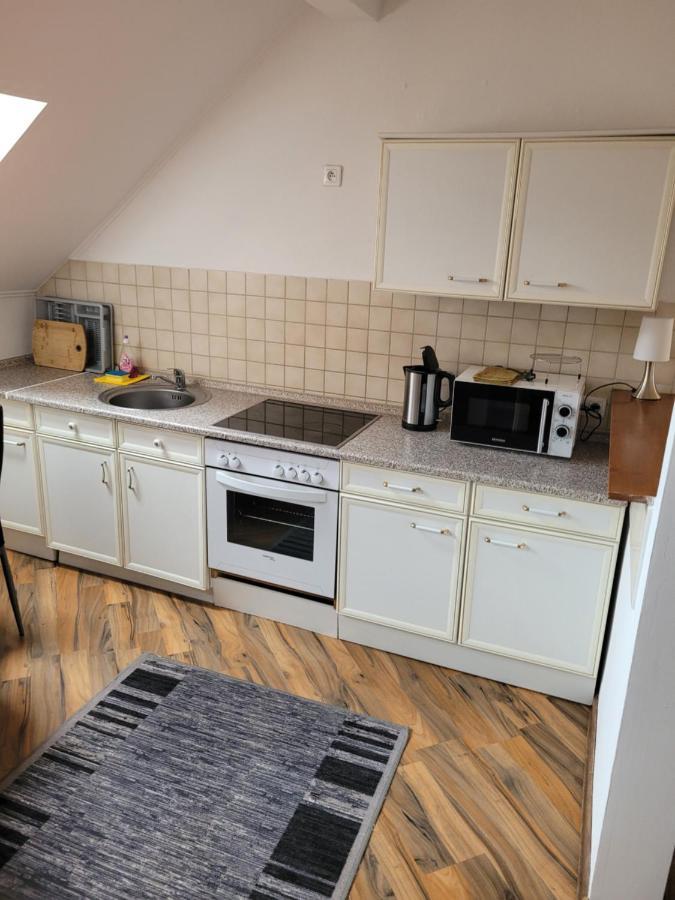 3 Zimmer Wohnung Fuer 6 Personen Gossnitz 外观 照片